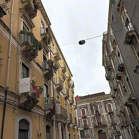 Pupi E Pupari